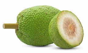 breadfruit lb