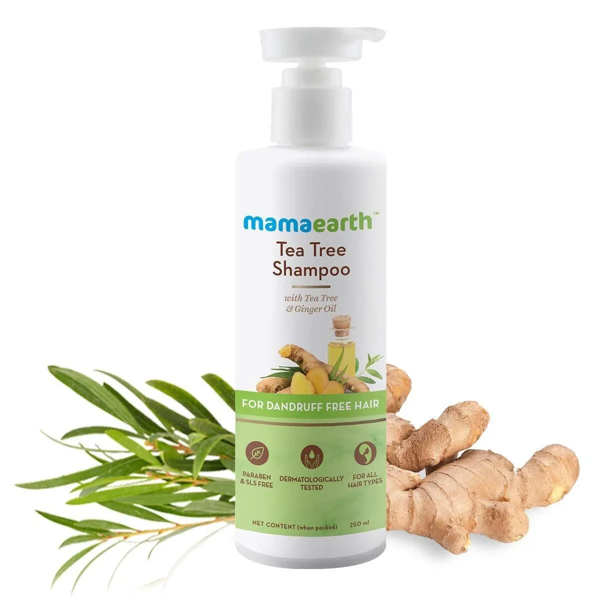 mamaearth tea tree shampoo 250 ml